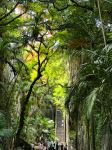 Queen's Staircase - Photo Credit: Photo by Miguel Ángel Sanz on Unsplash