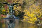 Bethesda Terrace and Fountain, Central Park - Photo Credit: Photo by Hector Falcon on Unsplash