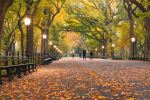 Central Park - Photo Credit: Photo by Andrea Belussi on Unsplash