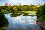 Central Park - Photo Credit: Photo by Hector Argüello Canals on Unsplash