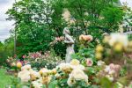 Jardin des Plantes - Photo Credit: Photo by Daphné Be Frenchie on Unsplash