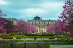 Jardin du Luxembourg - Photo Credit: Photo by Sami Zoller on Unsplash