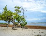  Photo Credit: Photo by pedro colon on Unsplash