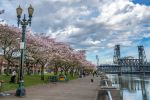 Tom McCall Waterfront Park in the Spring - Photo Credit: Photo by Richard Hedrick on Unsplash