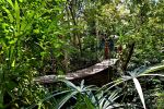 Vallarta Botanical Gardens - Photo Credit: Photo by Jeffrey Eisen on Unsplash