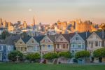 Painted Ladies - Photo Credit: Photo by Joshua Sortino on Unsplash
