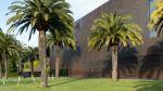 de Young Museum - Photo Credit: Photo by Torehan Sharman on Unsplash