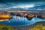 Elliott Bay - Photo Credit: Photo by Jasper Gronewold on Unsplash