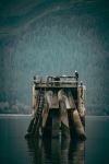  Photo Credit: Photo by Corey Simoneau on Unsplash