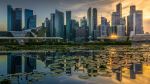  Photo Credit: Photo by Mike Enerio on Unsplash
