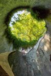  Photo Credit: Photo by Paul Pan on Unsplash