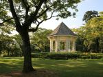 Singapore Botanic Gardens - Photo Credit: Photo by Hongbin on Unsplash