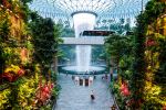 Changi Airport - Photo Credit: Photo by Sreehari Devadas on Unsplash