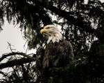 Photo Credit: Photo by Eric Hooper on Unsplash
