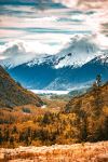  Photo Credit: Photo by Timothy Nevius on Unsplash