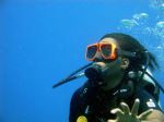 Scuba Diving - Photo Credit: Photo by Karl Callwood on Unsplash