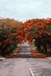  Photo Credit: Photo by Vijesh Datt on Unsplash