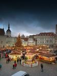 Christmas Markets - Photo Credit: Photo by Hert Niks on Unsplash