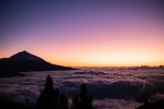  Photo Credit: Photo by Michele Bergami on Unsplash