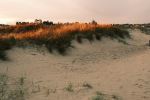 Caroline Bay Beach - Photo Credit: Photo by Tegan Conway on Unsplash