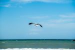  Photo Credit: Photo by JinHui CHEN on Unsplash