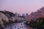  Photo Credit: Photo by Yu Kato on Unsplash