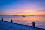  Photo Credit: Photo by Sébastien Goldberg on Unsplash