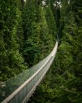 Capilano Suspension Bridge - Photo Credit: Photo by Cayetano Gil on Unsplash
