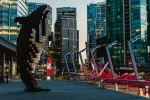 Digital Orca - Photo Credit: Photo by Aditya Chinchure on Unsplash