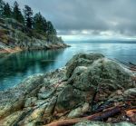 Lighthouse Park - Photo Credit: Photo by James Wheeler on Unsplash