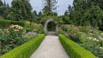 VanDusen Botanical Garden - Photo Credit: Photo by Laurent Beique on Unsplash