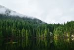 Stanley Park - Photo Credit: Photo by Jeremy Allouche on Unsplash
