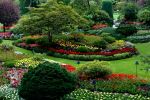 The Butchart Gardens - Photo Credit: Photo by Jan Canty on Unsplash