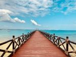  Photo Credit: Photo by Gulen Erol on Unsplash