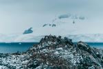  Photo Credit: Photo by Matthew Stephenson on Unsplash