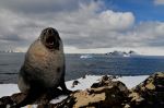 Cape Shirreff, Livingston Island - Photo Credit: Photo by NOAA on Unsplash
