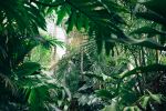 Biltmore Park - Photo Credit: Photo by Chris Abney on Unsplash