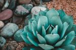  Photo Credit: Photo by Drew Beamer on Unsplash
