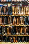  Photo Credit: Photo by Megan Bucknall on Unsplash