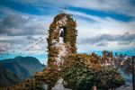  Photo Credit: Photo by lo lindo on Unsplash