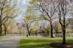 Boston Commons - Photo Credit: Photo by Kelly Sikkema on Unsplash