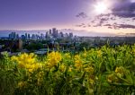  Photo Credit: Photo by Brooks DeCillia on Unsplash