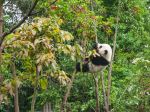  Photo Credit: Photo by Chester Ho on Unsplash