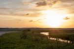 Mustang Island - Photo Credit: Photo by Trac Vu on Unsplash