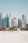  Photo Credit: Photo by Fredrik Öhlander on Unsplash