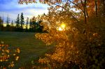  Photo Credit: Photo by Fred Amini on Unsplash