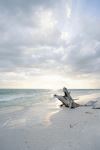 Lovers Key State Park - Photo Credit: Photo by Susie Burleson on Unsplash