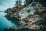 Lime Kiln Point State Park - Photo Credit: Photo by Jackson Eaves on Unsplash