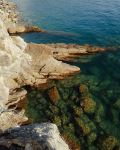Camogli - Photo Credit: Photo by Grigorii Shcheglov on Unsplash