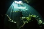  Photo Credit: Photo by Alex Rose on Unsplash